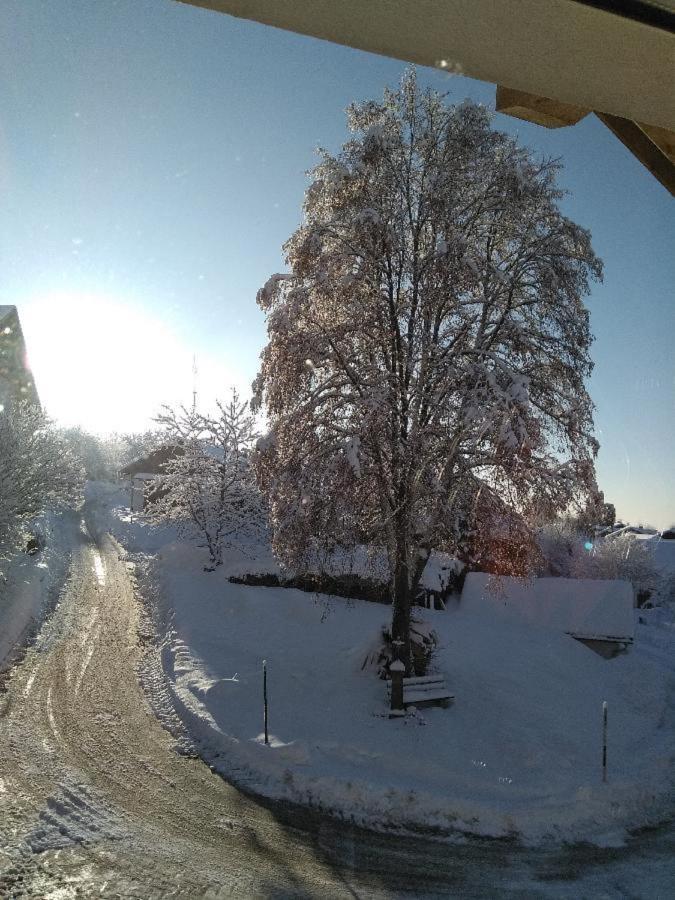 Ferienwohnung Pietzavka Wiesenfelden Екстериор снимка